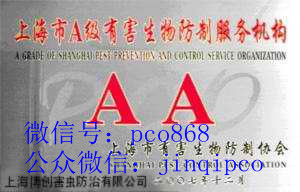 上海除蟑螂-灭白蚁公司-上海除跳蚤-杀老鼠公司-捕鼠公司-灭鼠-防老鼠