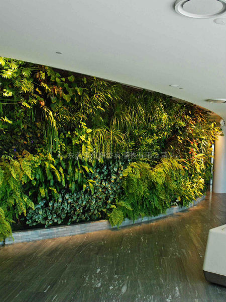 仿真植物墙仿真原生态植物墙假植物墙品种多样