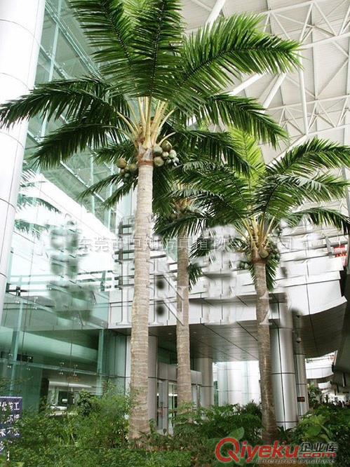 大型景观椰子树6米仿真椰子树
