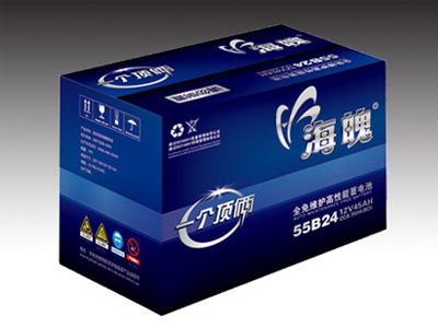晋江电池包装、晋江电池包装厂家 【立源包装】品质源于专业