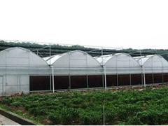 连栋温室大棚建造_优质的连栋温室大棚建造就在北方园艺温室