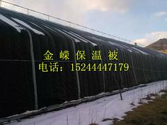 聊城防雨雪的大棚棉被_潍坊优质防雨雪的大棚棉被哪里买