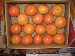 供应橙子杨桃香梨樱桃|价格合理的橙子海利水果经营部供应