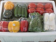 甘肃地区质量好的蔬菜泡沫箱_甘南蔬菜泡沫箱价格