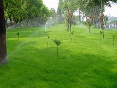弈采园林提供优质的自动喷灌滴：思明自动喷灌