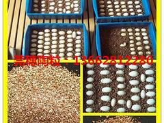 茶山蛭石——莞穗陶粒提供东莞地区专业蛭石