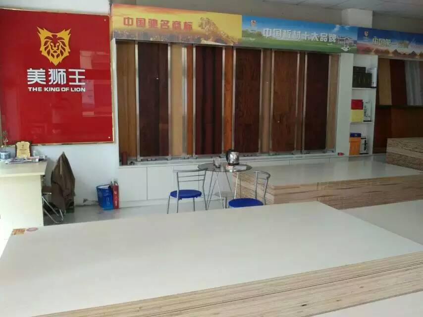 热烈庆祝板材十大品牌美狮王江苏泗阳店隆重开业
