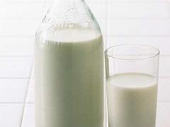 安徽鲜奶吧加盟——潍坊可信赖的鲜奶吧加盟