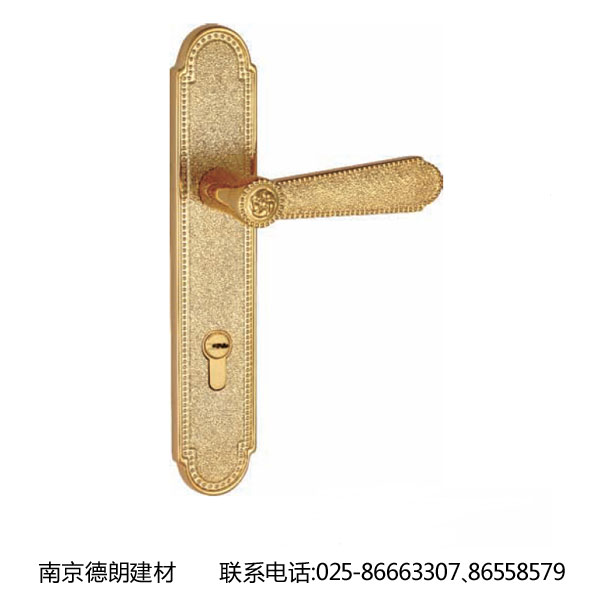 不锈钢门锁配件，德朗提供全套的不锈钢门锁五金配件，不锈钢门锁配件，更加物美价廉的不锈钢门锁配件。