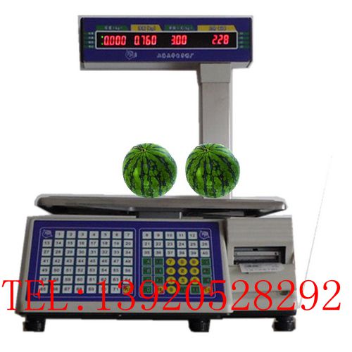 天津电子秤TM-15A电子秤 蔬菜店电子秤 水果店电子秤 打印条码电子秤16