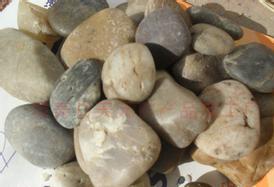 布石供应tr鹅卵石 水处理鹅卵石 规格1-25mm