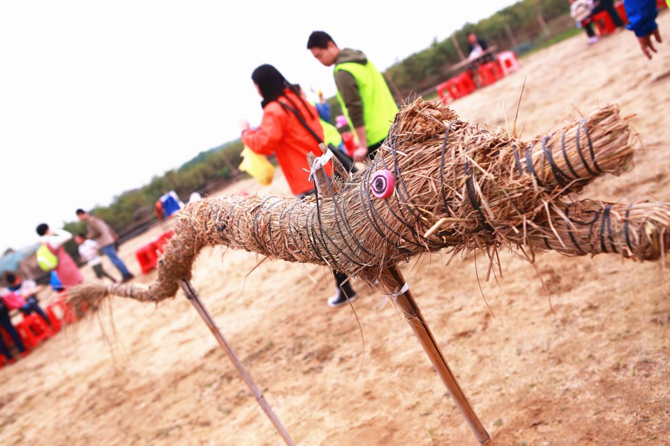 稻草龙(图)