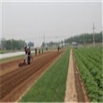 手推式蔬菜种子播种机 田园巧播种网站 动力香菜精量播种机