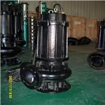 xx厂家长期供应不锈钢污水潜水泵 不锈钢排污潜水泵  安装方式 图片说明