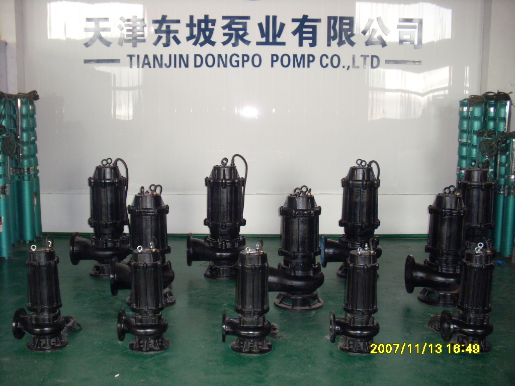 jp厂家长期供应不锈钢污水潜水泵 不锈钢排污潜水泵  安装方式 图片说明