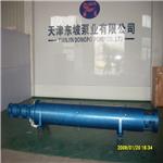 热水耐高温排污泵 不锈钢热水排污泵 安装形式 图片说明