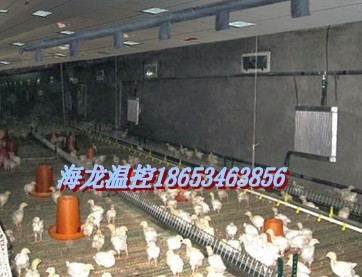 鸡棚取暖设备|生产厂家|供应商-海龙温控