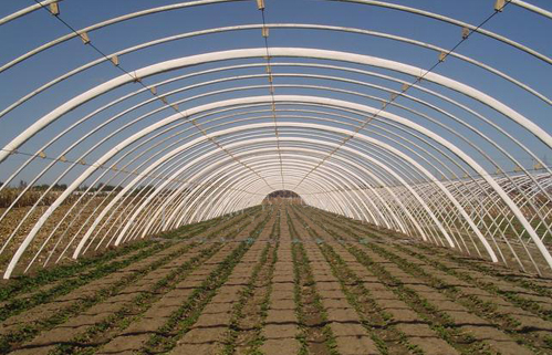 温室大棚造价-安阳市佳和农业