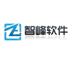 zzy的网页设计公司/临沂智峰软件开发