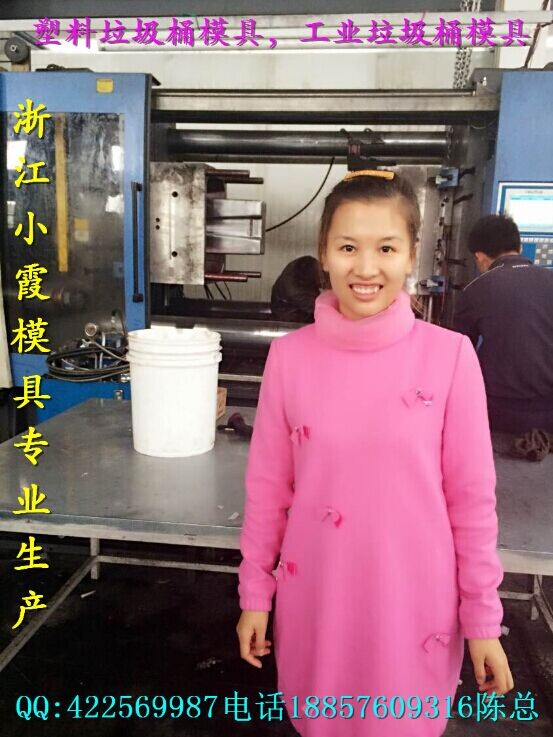 制造60升垃圾桶模具价格 定制塑料工业垃圾桶模具生产 中国环卫桶模具加工