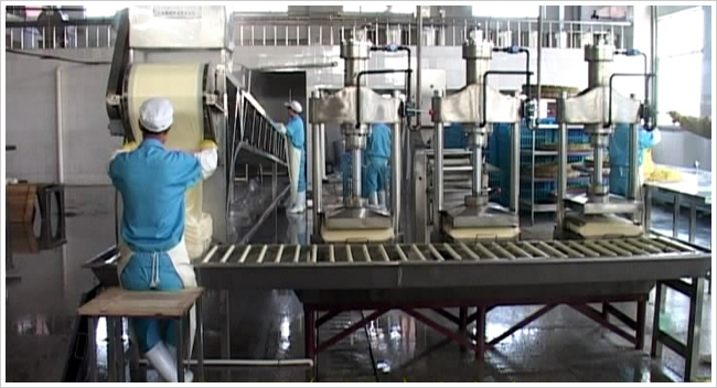 豆制品成套自动化设备-浙江省中禾机械