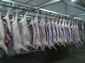 单县肉牛养殖场-梁山鲁鑫源牲畜交易市场