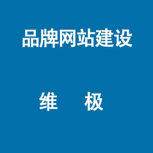 萝岗区中小企业如何做网络推广/维极