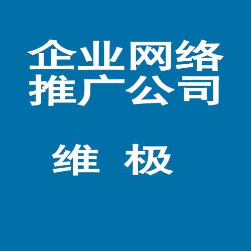 广州{zh0}的网站推广公司/ 维极科技
