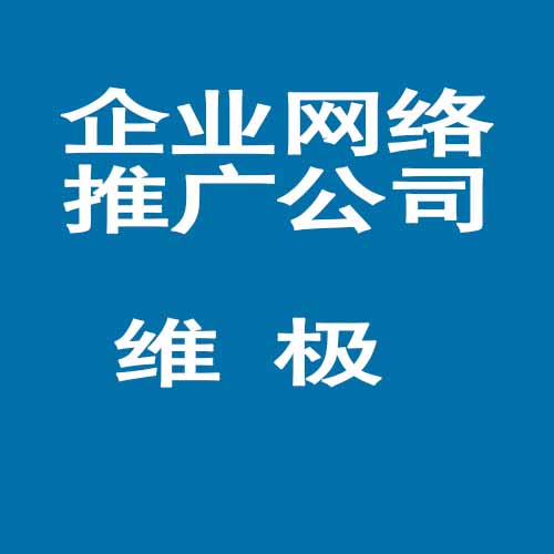 广州专业网络推广公司 、维极科技