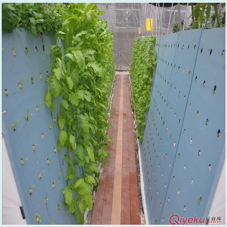 水耕栽培设备绿植园艺育苗专用阳台管道种植蔬菜育苗海绵育苗块