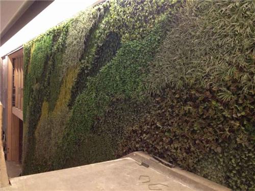 郑州名门地产原生态仿真植物墙绿化墙