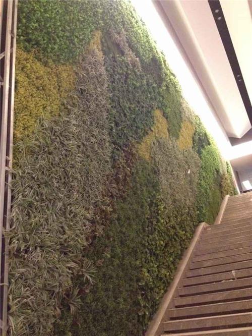郑州名门地产原生态仿真植物墙绿化墙