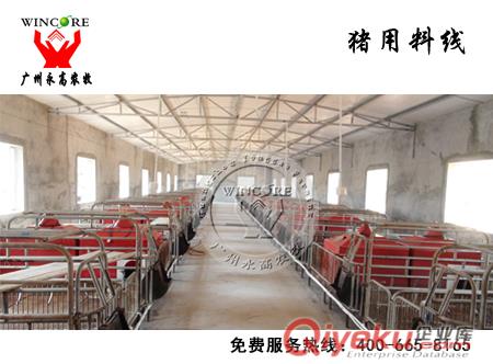厂家直销养猪设备母猪产床_永高农牧-养猪设备大全