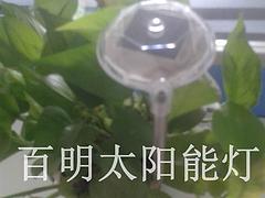 供应百明太阳能灯优质的太阳能灯——中国太阳能草坪灯