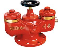 泉州畅销的消防水泵接合器推荐：安徽接合器