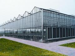 玻璃温室大棚首推广厦钢结构桂林分公司_江洲玻璃温室大棚