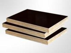 为您推荐桂大建筑模板有品质的胶合板，厦门胶合板
