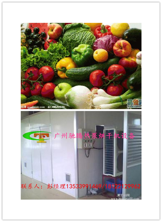 大型果蔬热泵cs烘干设备