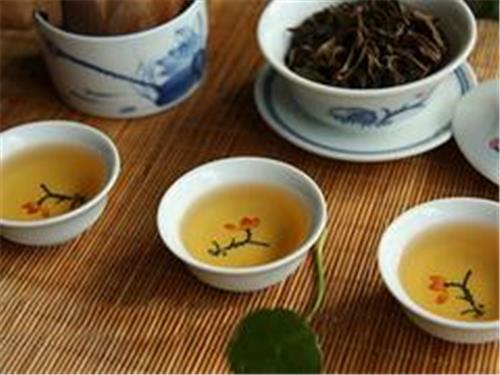 哪儿有品牌好的鸭屎香茶叶批发市场|中国茶叶