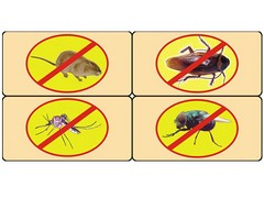 攀枝花灭蟑螂服务公司：全市范围内放心的灭蟑螂推荐