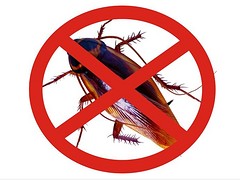 湖北灭蟑螂公司：成都嘉洁事提供有品质的灭蟑螂