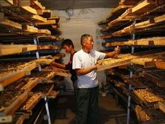 潍坊哪里有供应优惠的中药材烘干机 药材烘干厂家价位