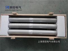 重庆高压熔断器RXWO-35/0.5_具有口碑的高压熔断器RXWO-35/0.5在温州哪里可以买到