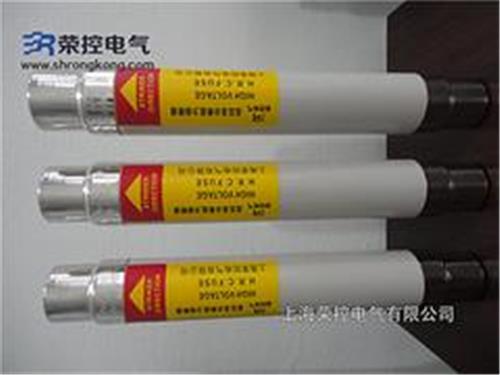 上海荣控提供有信誉度的高压熔断器XRNT-12/40A——高压限流熔断器代理加盟