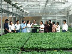 蔬菜种植技术员培训专业机构，滨州蔬菜种植技术员培训