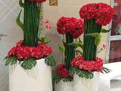 杭州提供好的花卉租赁 ，酒店植物租赁