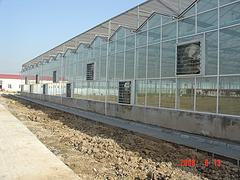 潍坊钢结构车间建设，专业的钢结构厂房建设就在鑫椿钢结构