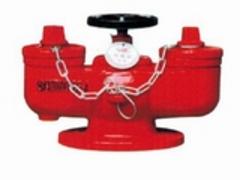 在哪能买到新款简易式水泵接合器|消防水泵接合器图片