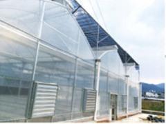 玻璃温室价格行情，专业的福建温室