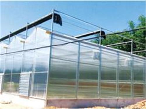 想建温室就到兴邦温室——莆田蔬菜温室